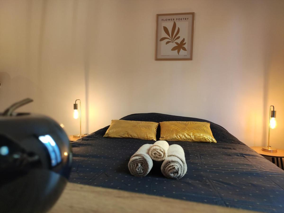 Appartement Le Charme - Focalimmo à Foix Extérieur photo
