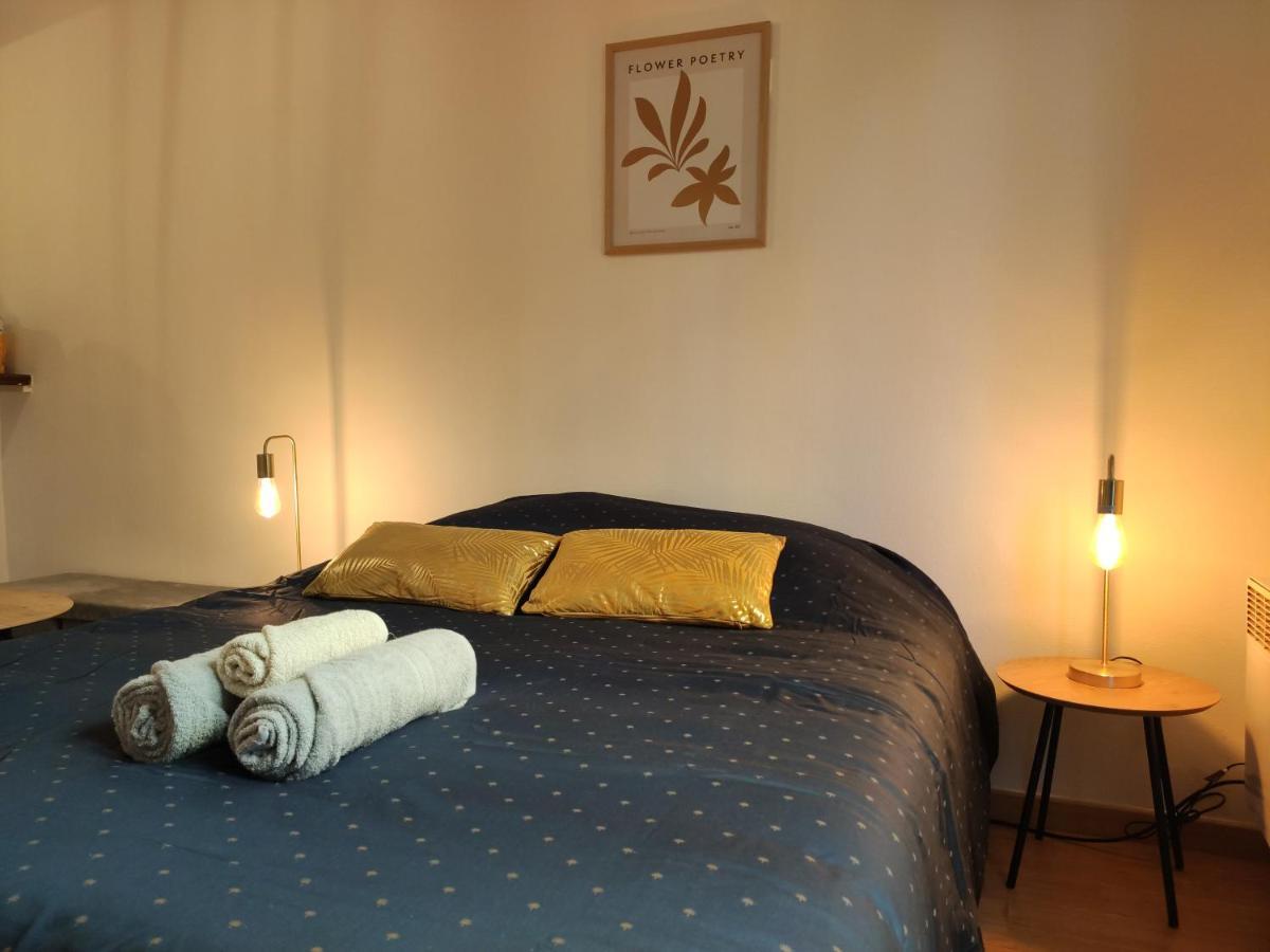 Appartement Le Charme - Focalimmo à Foix Extérieur photo