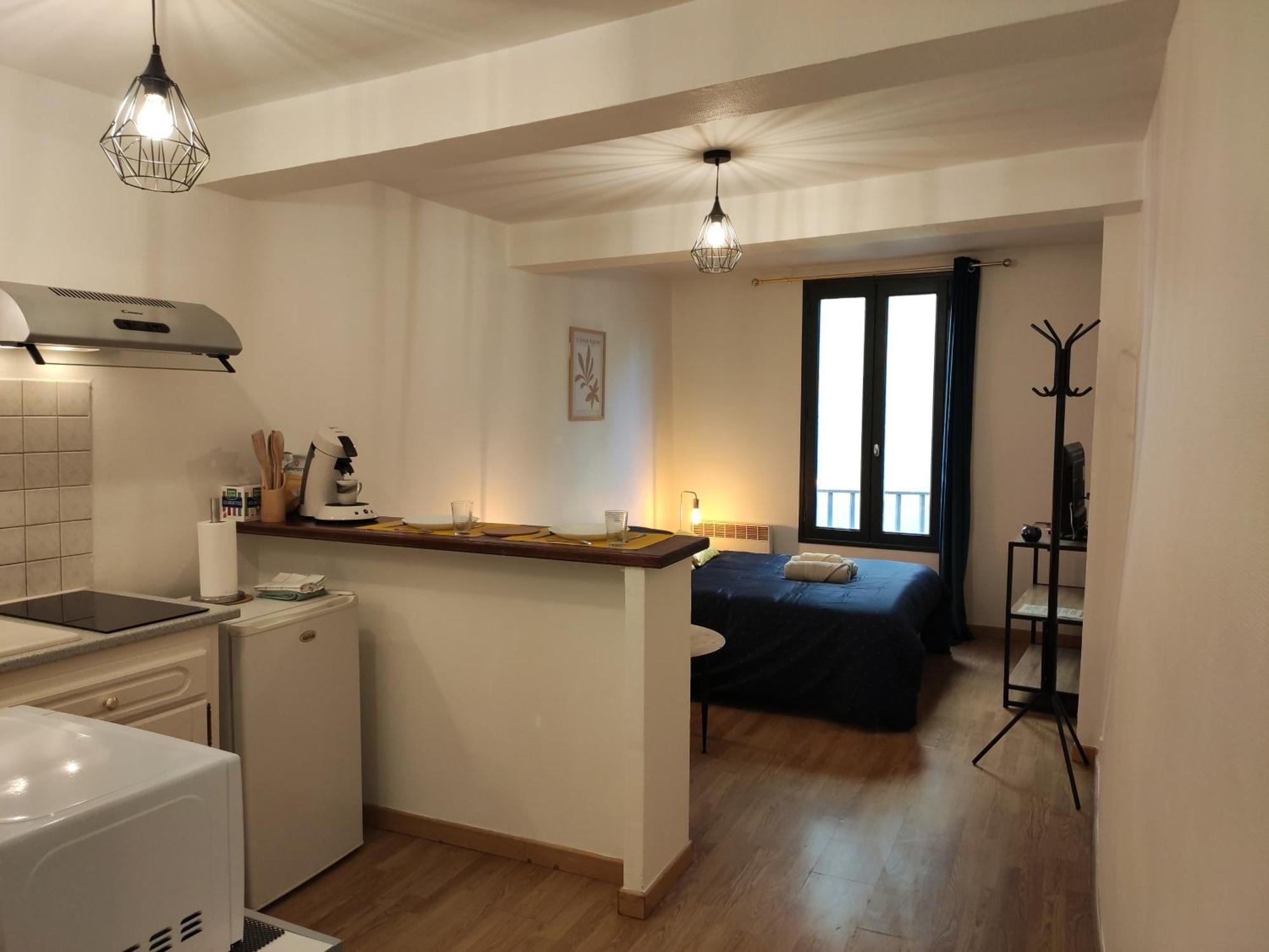 Appartement Le Charme - Focalimmo à Foix Extérieur photo